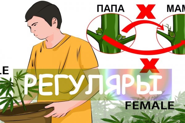 Кракен почему пользователь не найден
